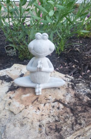Yoga Frog