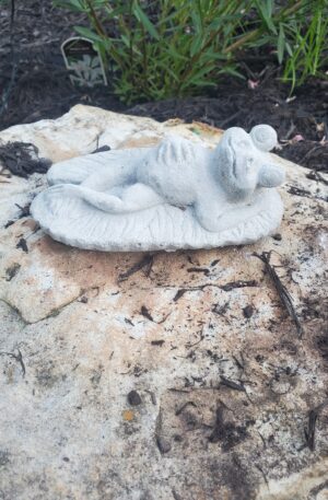 Chilling Frog