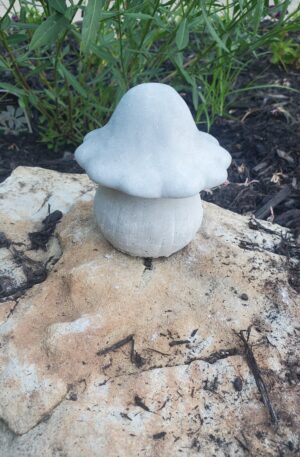 Mushroom 1