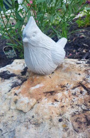 Cardinal