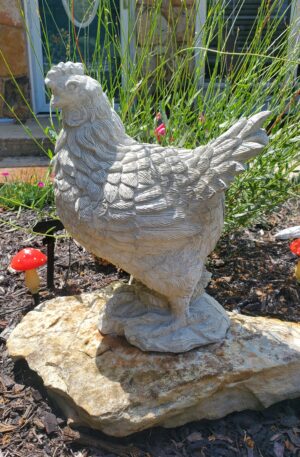 Hen